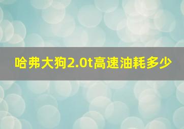 哈弗大狗2.0t高速油耗多少