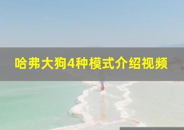 哈弗大狗4种模式介绍视频