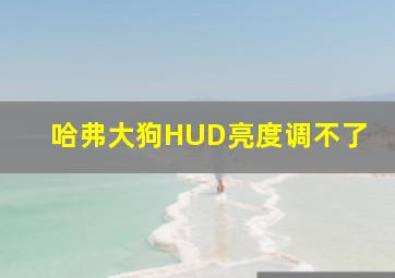 哈弗大狗HUD亮度调不了