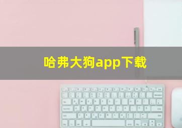 哈弗大狗app下载