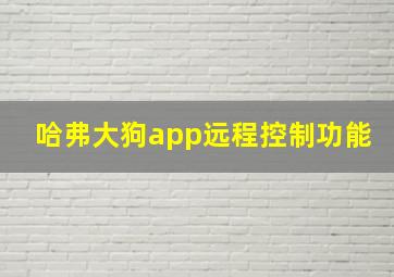 哈弗大狗app远程控制功能