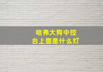 哈弗大狗中控台上面是什么灯