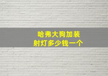 哈弗大狗加装射灯多少钱一个