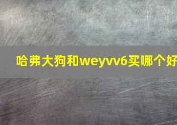 哈弗大狗和weyvv6买哪个好