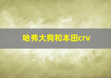 哈弗大狗和本田crv