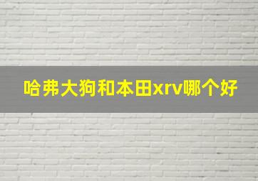 哈弗大狗和本田xrv哪个好