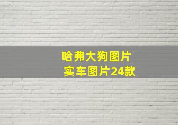 哈弗大狗图片实车图片24款