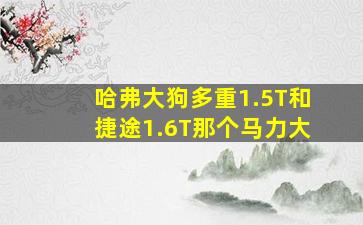 哈弗大狗多重1.5T和捷途1.6T那个马力大