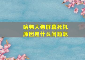 哈弗大狗屏幕死机原因是什么问题呢