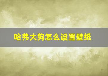 哈弗大狗怎么设置壁纸