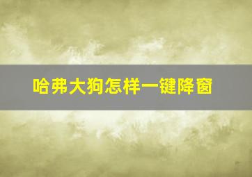 哈弗大狗怎样一键降窗