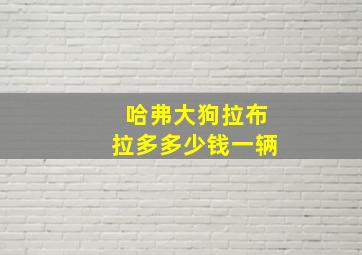 哈弗大狗拉布拉多多少钱一辆