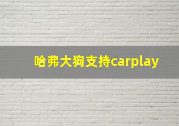 哈弗大狗支持carplay