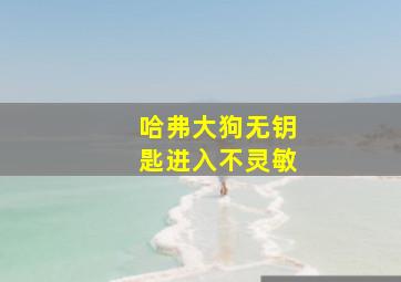 哈弗大狗无钥匙进入不灵敏