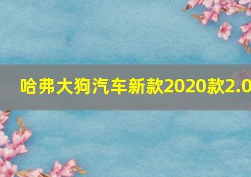 哈弗大狗汽车新款2020款2.0