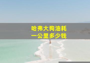 哈弗大狗油耗一公里多少钱