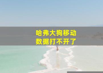 哈弗大狗移动数据打不开了