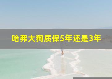 哈弗大狗质保5年还是3年