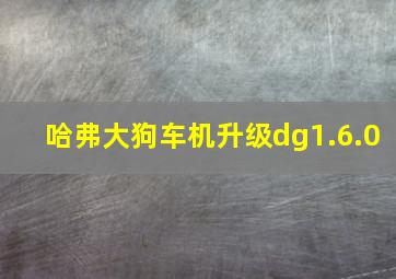 哈弗大狗车机升级dg1.6.0