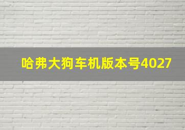 哈弗大狗车机版本号4027