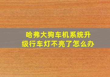 哈弗大狗车机系统升级行车灯不亮了怎么办