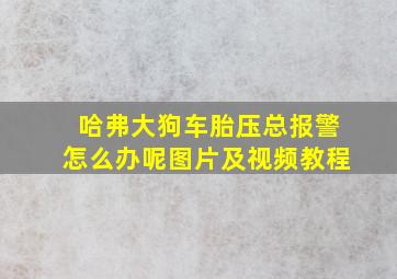 哈弗大狗车胎压总报警怎么办呢图片及视频教程