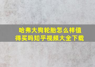 哈弗大狗轮胎怎么样值得买吗知乎视频大全下载