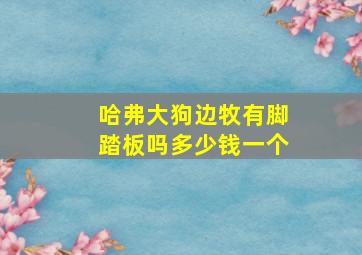 哈弗大狗边牧有脚踏板吗多少钱一个