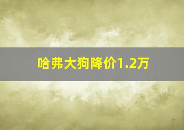 哈弗大狗降价1.2万