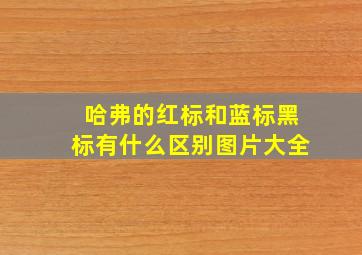 哈弗的红标和蓝标黑标有什么区别图片大全