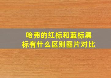 哈弗的红标和蓝标黑标有什么区别图片对比