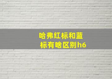 哈弗红标和蓝标有啥区别h6