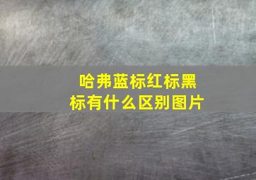 哈弗蓝标红标黑标有什么区别图片