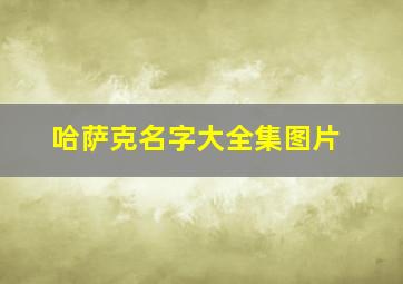 哈萨克名字大全集图片