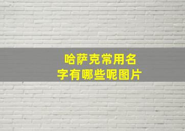 哈萨克常用名字有哪些呢图片