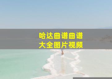 哈达曲谱曲谱大全图片视频