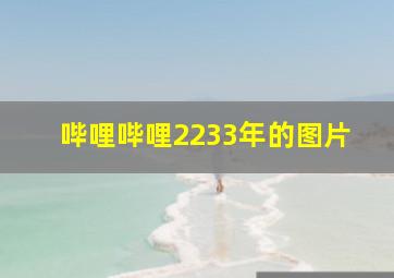 哔哩哔哩2233年的图片