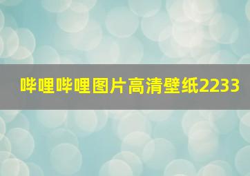 哔哩哔哩图片高清壁纸2233