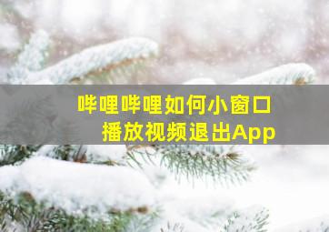 哔哩哔哩如何小窗口播放视频退出App