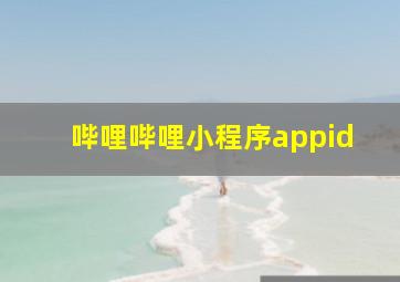 哔哩哔哩小程序appid