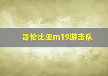 哥伦比亚m19游击队