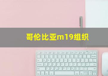 哥伦比亚m19组织