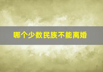 哪个少数民族不能离婚