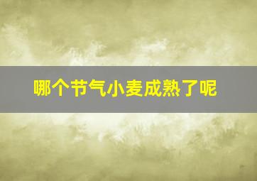 哪个节气小麦成熟了呢