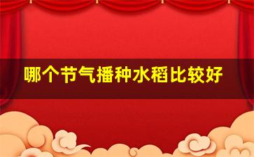 哪个节气播种水稻比较好