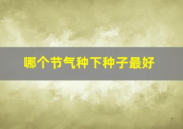 哪个节气种下种子最好