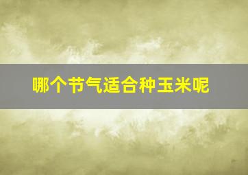 哪个节气适合种玉米呢