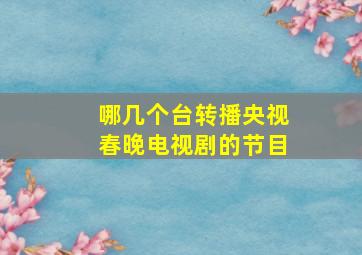 哪几个台转播央视春晚电视剧的节目