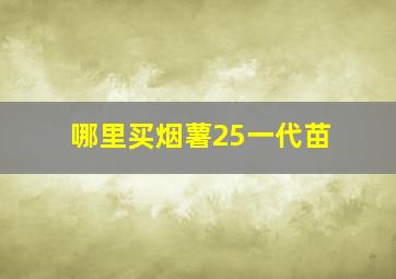 哪里买烟薯25一代苗