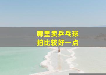 哪里卖乒乓球拍比较好一点